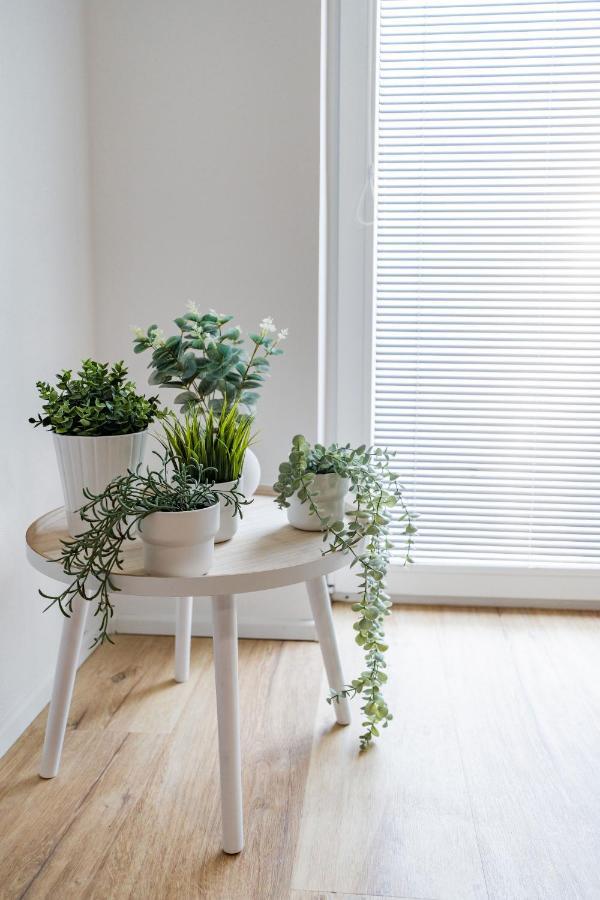 Wolkerovka Apartment 2 奥洛穆茨 外观 照片